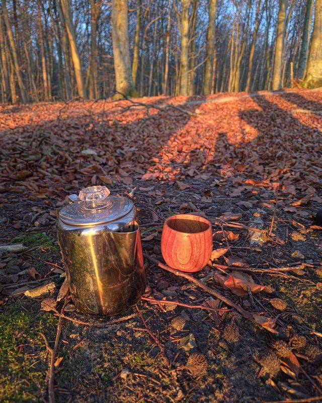 Kaffekande og to kopper stillet på skovbunden mellem visne blade